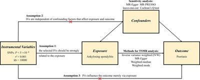 Genetically predicted ankylosing spondylitis is causally associated with psoriasis